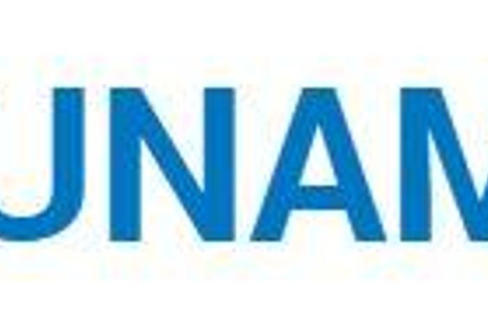The African Union – United Nations Hybrid Operation in Darfur (UNAMID ...