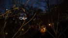 Sex in New York City Parks? It's Less of a Thing Than It Used to Be