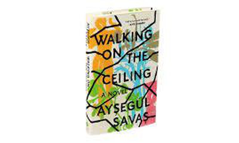 With sensuality and coolness, a debut novel considers the (partial) truths we tell about ourselves