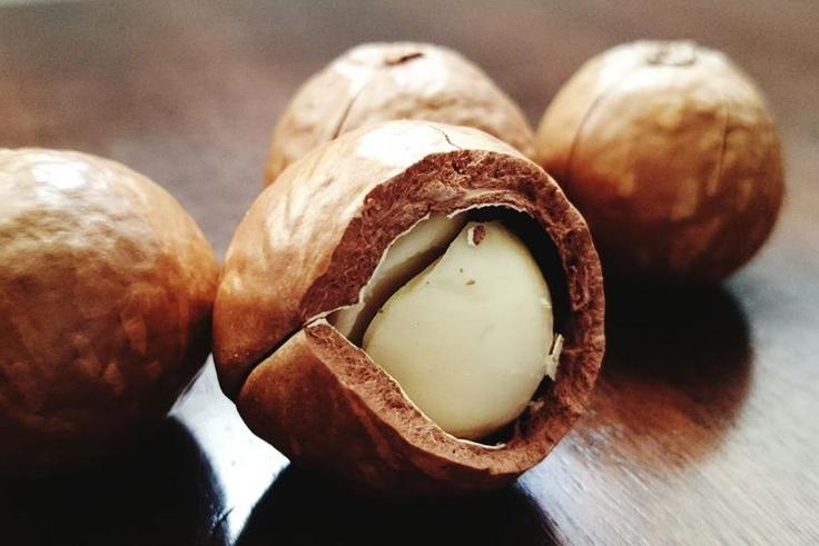Dr. Pimple Popper Extracts a 'Macadamia Nut' Cyst