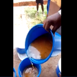 Groundnut soup for students