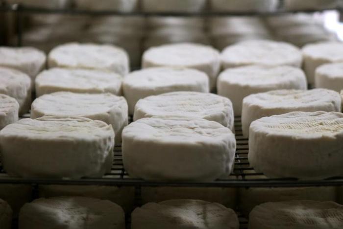 A French cheesemaker has been asked to recall two of its cheeses from Germany as a precaution over concerns they could have been contaminated with the bacteria E.coli