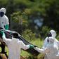 Infectious diseases and parasites are a risk, along with rats and mosquitos carrying diseases