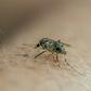 The Center for Malaria Studies in Caracas treats the mosquito-borne illness in a country suffering with acute shortages of medicine and other basic necessities