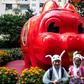 Pigs symbolise good fortune and wealth in Chinese cultures