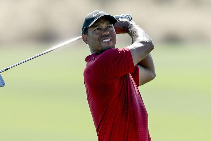 What Is Tiger Woods' Net Worth?