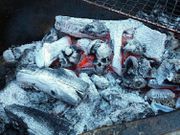 See the latest charcoal on the markets, would you use it to cook?