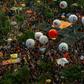 People take part in a demonstration against the Brazilian government's plan to slash education spending, in Sao Paulo