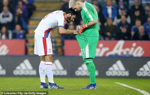Crystal Palace defender James Tomkins looked down goalkeeper Vicente Guaita's shorts