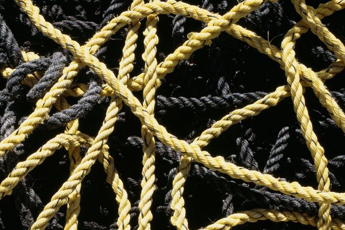 Dr. Pimple Popper Removes 'Ribbon' Steatocystoma