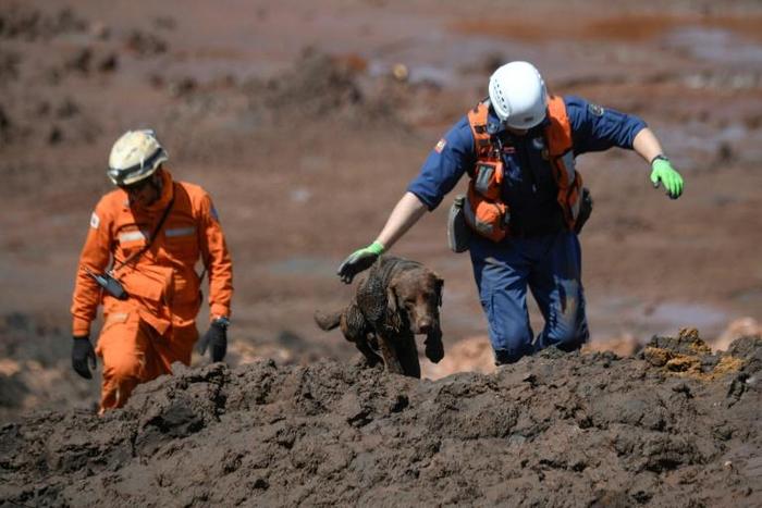 Firefighters search for victims on January 31, 2019 after a dam collapsed at an iron-ore mine belonging to mining giant Vale, near Brumadinho in southeastern Brazil