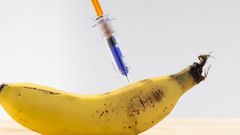 This Couple Bought Each Other Genital Enhancements
