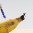 This Couple Bought Each Other Genital Enhancements