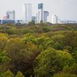 Nightingales have been flocking to Berlin whose scruffy thick foliage in gardens and parks such as the Tiergarten (pictured) is attractive for the birds, say scientists