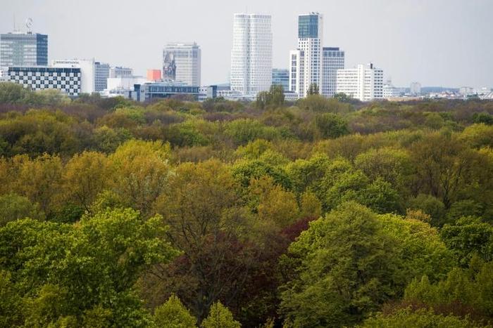 Nightingales have been flocking to Berlin whose scruffy thick foliage in gardens and parks such as the Tiergarten (pictured) is attractive for the birds, say scientists