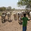 Dozens of people died in clashes between crop growers and nomadic herders over land access