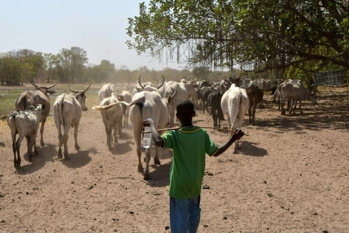 Dozens of people died in clashes between crop growers and nomadic herders over land access