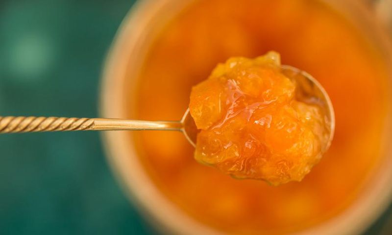 9 Lipoma Videos From Dr. Pimple Popper's Instagram