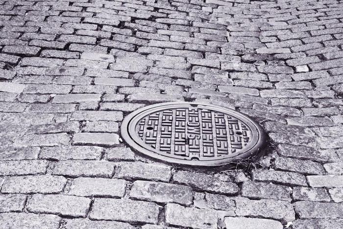 Dr. Pimple Popper Tackles a Gooey Pore of Winer