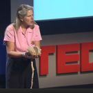Dr Jill Bolte
