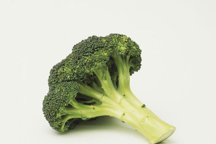 Broccoli