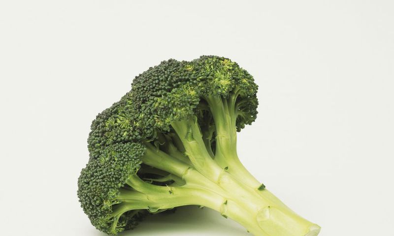 Broccoli
