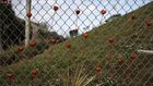 Parkland: A Year After the School Shooting That Was Supposed to Change Everything