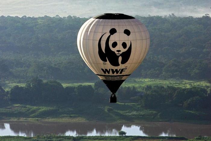 Stamping out poaching and other wildlife crime is a priority for WWF