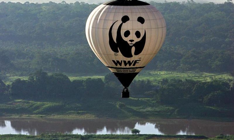 Stamping out poaching and other wildlife crime is a priority for WWF