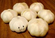 Garlic