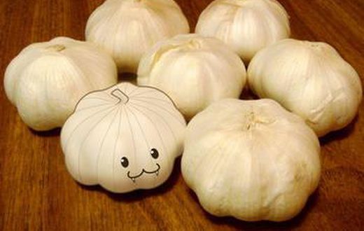 Garlic