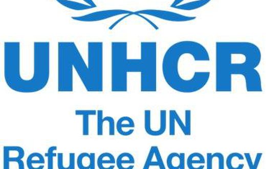 United Nations High Commissioner for Refugees (UNHCR)
