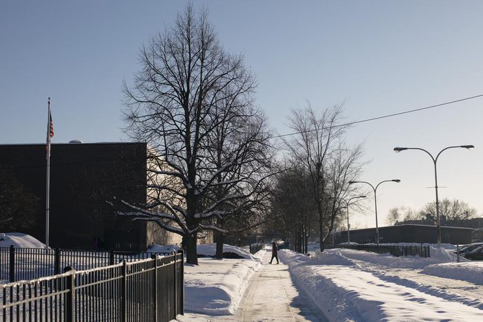Toni Preckwinkle Won a Spot in Chicago's Mayoral Runoff. Who Is She?