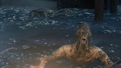 Waterlogged corpse (@Bloodborne Wiki)