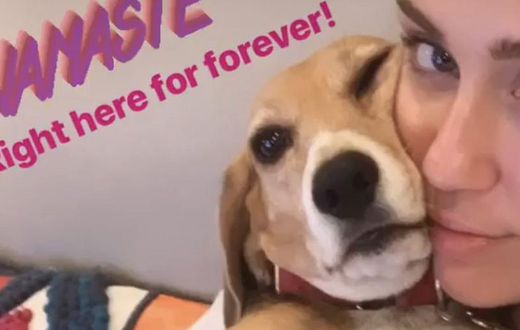 Miley Cyrus Posted A No-Makeup Instagram Selfie