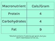 How To Count Macros To Lose Weight