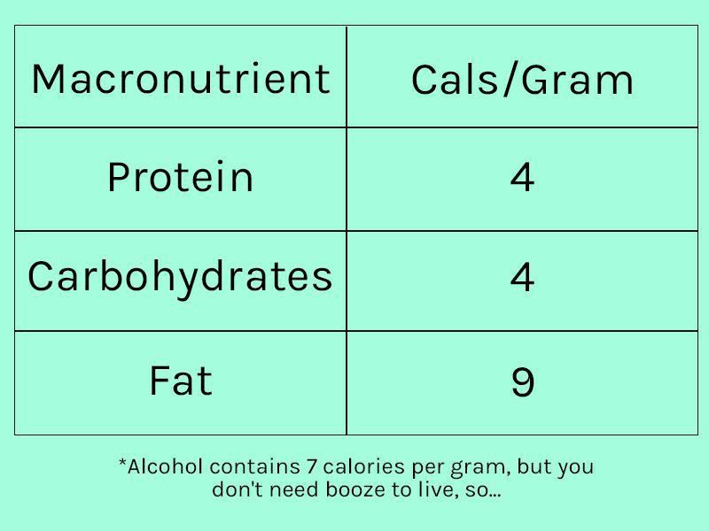 How To Count Macros To Lose Weight