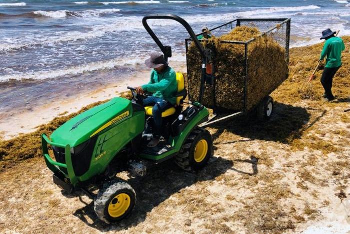 Workers remove smelly Sargassum seaweed from the beach near Tulum in Quintana Roo State, Mexico