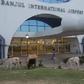 Birds and ruminants invade Gambia airport