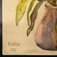 A watercolour still life signed by A. Hitler at the Weidler auction house in Nuremberg in 2015