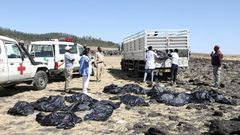 Scene of the Ethiopian Airlines plane crash