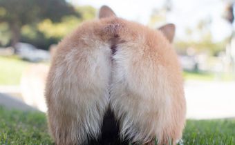 Why Is My Butthole Itchy AF Right Now?