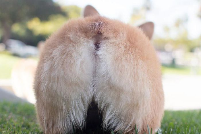 Why Is My Butthole Itchy AF Right Now?