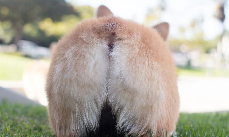 Why Is My Butthole Itchy AF Right Now?