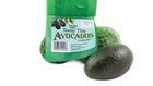 The Tiny Avocado is Back!