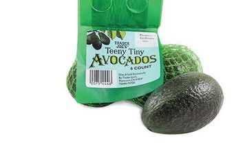 The Tiny Avocado is Back!