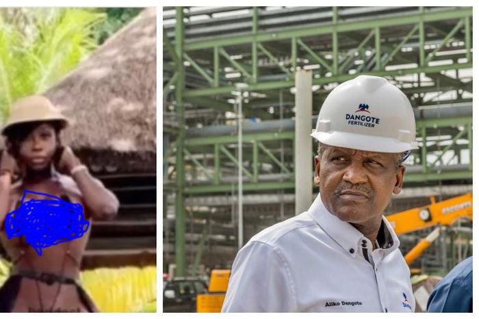 Curvy model who claims to have a crush on Dangote shares her nude photos with him