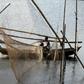 Bangladesh has banned fishing in shallow waters and coastal rivers for the next two months in a bid to protect stocks