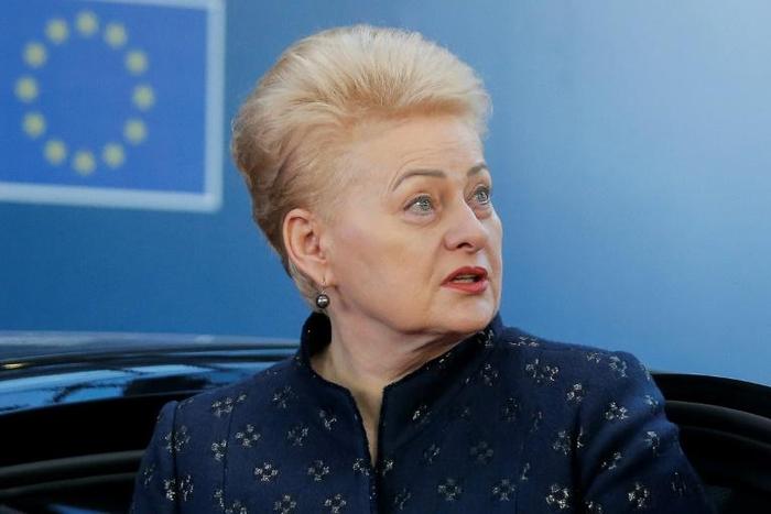 Nine candidates are vying to succeed Dalia Grybauskaite, who is stepping down after two terms as Lithuanian President