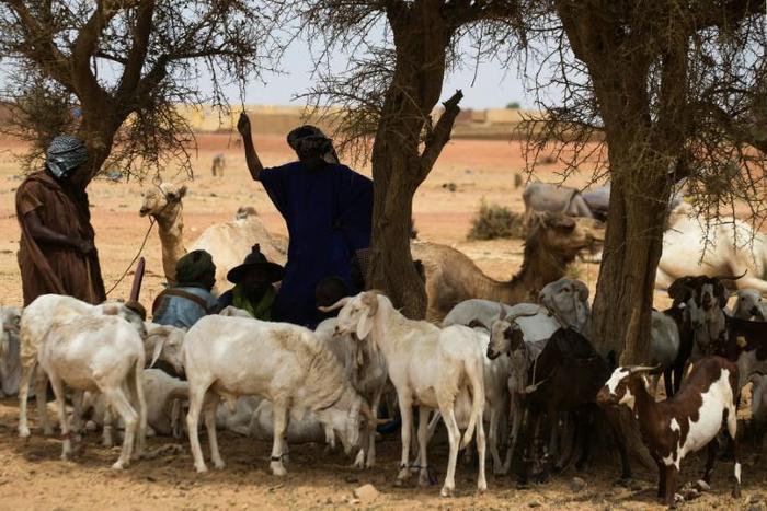 Mali has been struggling with a surge in jihadist violence but also from inter-communal bloodshed between hunters and herders